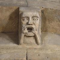 Mystérieuses créatures